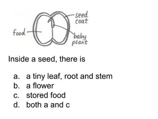Starting with the seed (number 1), number the
plant’s life cycle in the correct order.

   1.
 