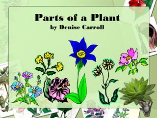 Parts of a Plant
by Denise Carroll
 