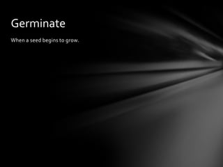 When a seed begins to grow.
Germinate
 