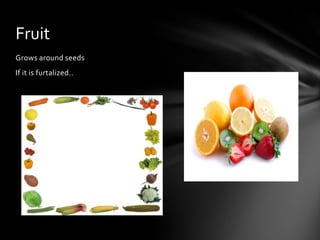 Grows around seeds
If it is furtalized..
Fruit
 