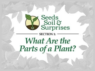 What Are the
Parts of a Plant?
SECTION 1:
 