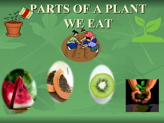 PARTS OF A PLANT
    WE EAT
 