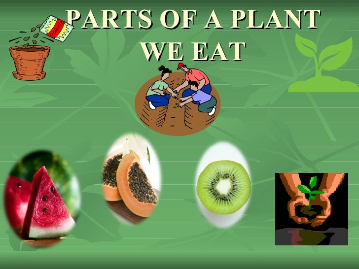 Parts of a plant we eat