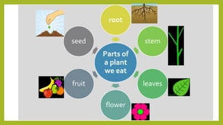 Various leafy greens and flower vegetables like broccoli and cauliflower