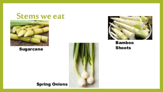 Parts Of A Plant We Eat parts-of-a-plant-we-eat