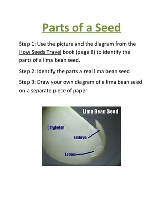 Parts of a Seed
Step 1: Use the picture and the diagram from the
How Seeds Travel book (page 8) to identify the
parts of a lima bean seed.
Step 2: Identify the parts a real lima bean seed
Step 3: Draw your own diagram of a lima bean seed
on a separate piece of paper.
 