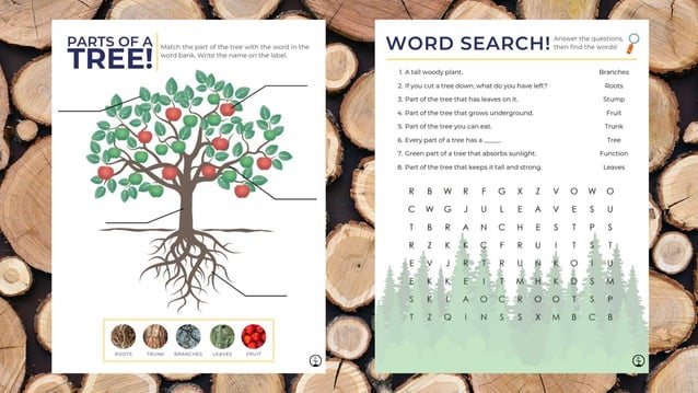 Parts of a tree module slides | PPT