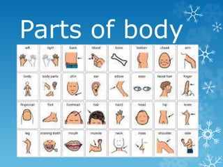 Parts of body
 