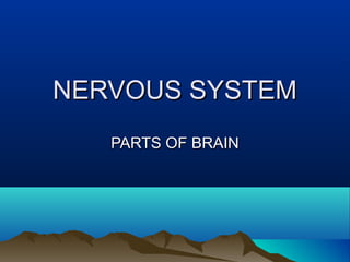 NERVOUS SYSTEMNERVOUS SYSTEM
PARTS OF BRAINPARTS OF BRAIN
 