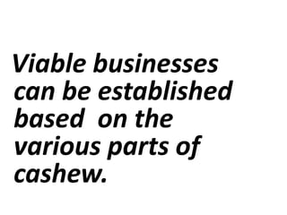 Viable businesses
can be established
based on the
various parts of
cashew.
 