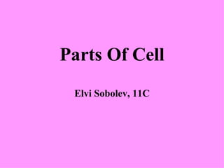 Parts Of Cell Elvi Sobolev, 11C 