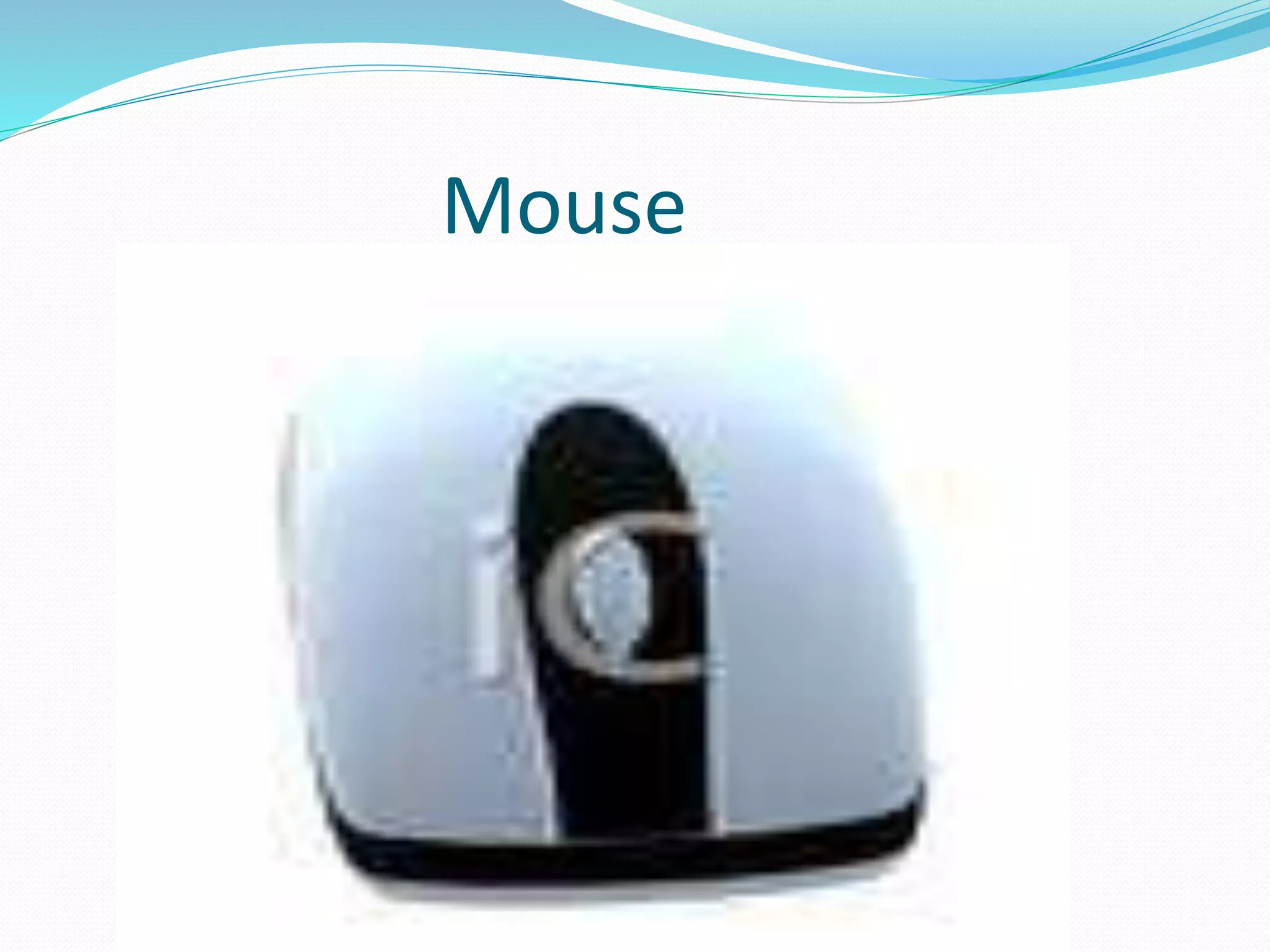 Mouse