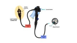 Parts of endoscope and disinfection principles.pptx