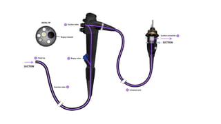 Endoscope Part Names Parts of endoscope and disinfection principles.pptx