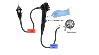 Endoscope Part Names Parts of endoscope and disinfection principles.pptx