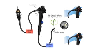 Endoscope Part Names Parts of endoscope and disinfection principles.pptx