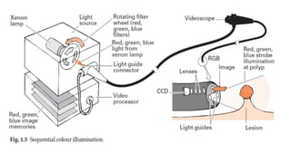 Endoscope Part Names Parts of endoscope and disinfection principles.pptx