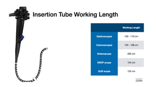 Parts of endoscope and disinfection principles.pptx