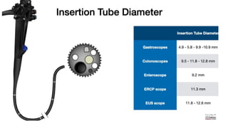 Endoscope Part Names Parts of endoscope and disinfection principles.pptx