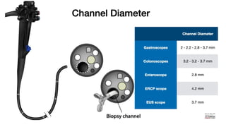 Parts of endoscope and disinfection principles.pptx