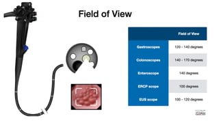 Endoscope Part Names Parts of endoscope and disinfection principles.pptx