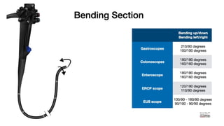 Parts of endoscope and disinfection principles.pptx