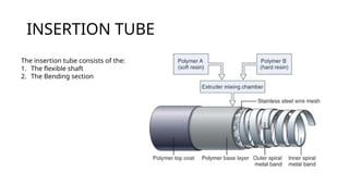 Endoscope Part Names Parts of endoscope and disinfection principles.pptx