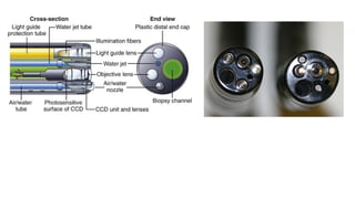 Endoscope Part Names Parts of endoscope and disinfection principles.pptx