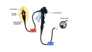 Endoscope Part Names Parts of endoscope and disinfection principles.pptx