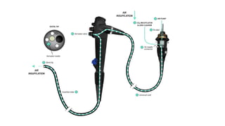 Endoscope Part Names Parts of endoscope and disinfection principles.pptx