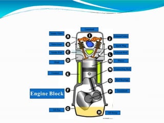 Intake Valve
Valve Cover
Intake Port
Head
Coolant
Engine Block
Oil Pan
Oil Sump
Crankshaft
Camshaft
Exhaust Valve
Spark Plug
Exhaust Port
Piston
Connecting Rod
Rod Bearings
 