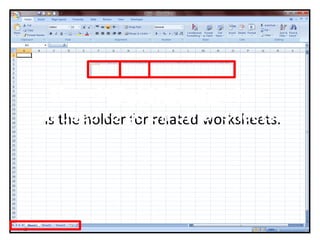 Workbook
-is the holder for related worksheets.
WorksheetSheet Tab Navigator
-it used to go on other sheets
 