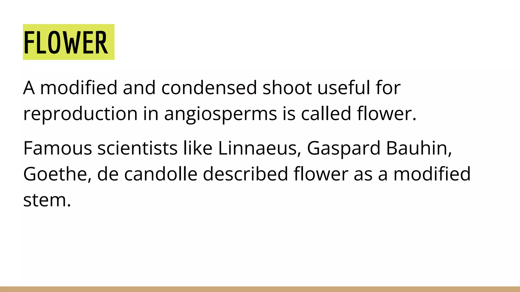 PARTS OF FLOWER.pptx