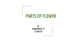 PARTS OF FLOWER
BY
MOHANAPRIYA. D
21-EDB-06
 