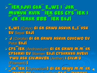  ¯ÍeK¸‡jvi
         g‡a¨ e„wZ I `j‡K
 mvnvh¨Kvix ¯ÍeK Ges cys¯ÍeK I
 ¯¿x¯ÍeK‡K Rbb ¯ÍeK e‡j|
 e„wZ (Calyx)    Gi GK GKwU Ask‡K e„Z¨vsk
  ev Sepal e‡j|
 `j (Corolla) Gi GK GKwU Ask‡K cuvcwo ev
  Petal e‡j|
 cys¯ÍeK (Androecium) Gi GK GKwU m`m¨‡K
  cys‡Kki ev Stamen e‡j| cys‡Kk‡ii Avevi
  `ywU Ask civMavbx (Anther) I civM`Û
  (Filament) |
 ¯¿x¯ÍeK (Gynoecium) Gi GK GKwU m`m¨‡K
 