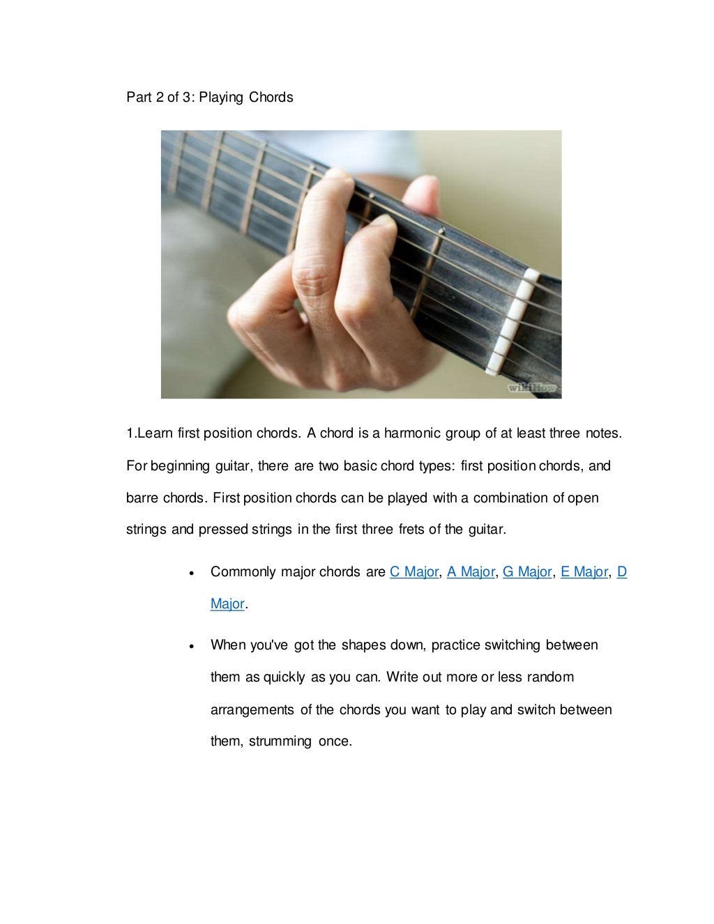 essay on musical instrument guitar