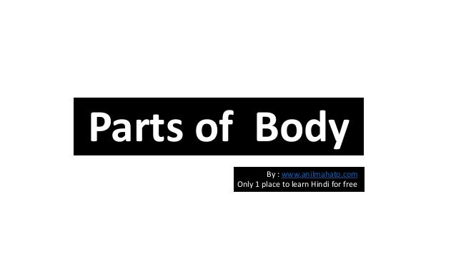 Parts of Human Body in Hindi You Must Know