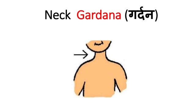 Parts of Human Body in Hindi You Must Know