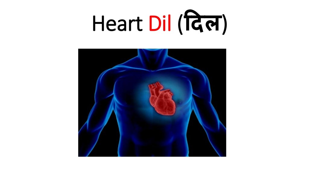 Parts of Human Body in Hindi You Must Know