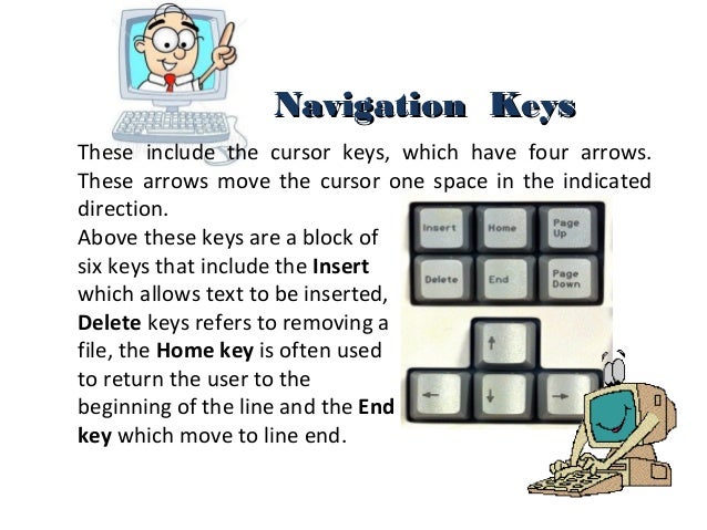 Parts of keyboard and proper handling