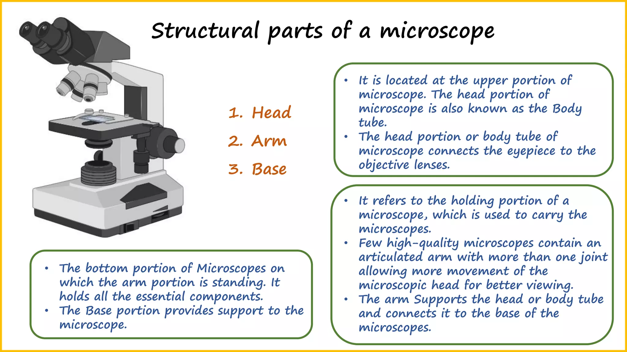 Structural parts of a microscope
1. Head
2. Arm
3. Base
• It is located at the upper portion of
microscope. The head portion of
microscope is also known as the Body
tube.
• The head portion or body tube of
microscope connects the eyepiece to the
objective lenses.
• It refers to the holding portion of a
microscope, which is used to carry the
microscopes.
• Few high-quality microscopes contain an
articulated arm with more than one joint
allowing more movement of the
microscopic head for better viewing.
• The arm Supports the head or body tube
and connects it to the base of the
microscopes.
• The bottom portion of Microscopes on
which the arm portion is standing. It
holds all the essential components.
• The Base portion provides support to the
microscope.
 