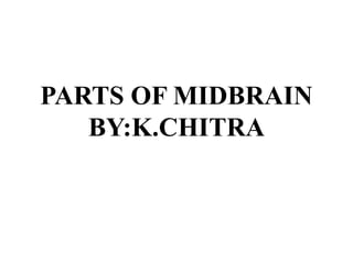 PARTS OF MIDBRAIN
BY:K.CHITRA
 