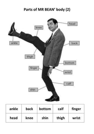 Parts of MR BEAN’ body (2)




ankle    back   bottom     calf      finger

head    knee      shin    thigh      wrist
 