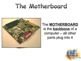 The  MOTHERBOARD  is the  backbone   of a computer – all other parts plug into it 