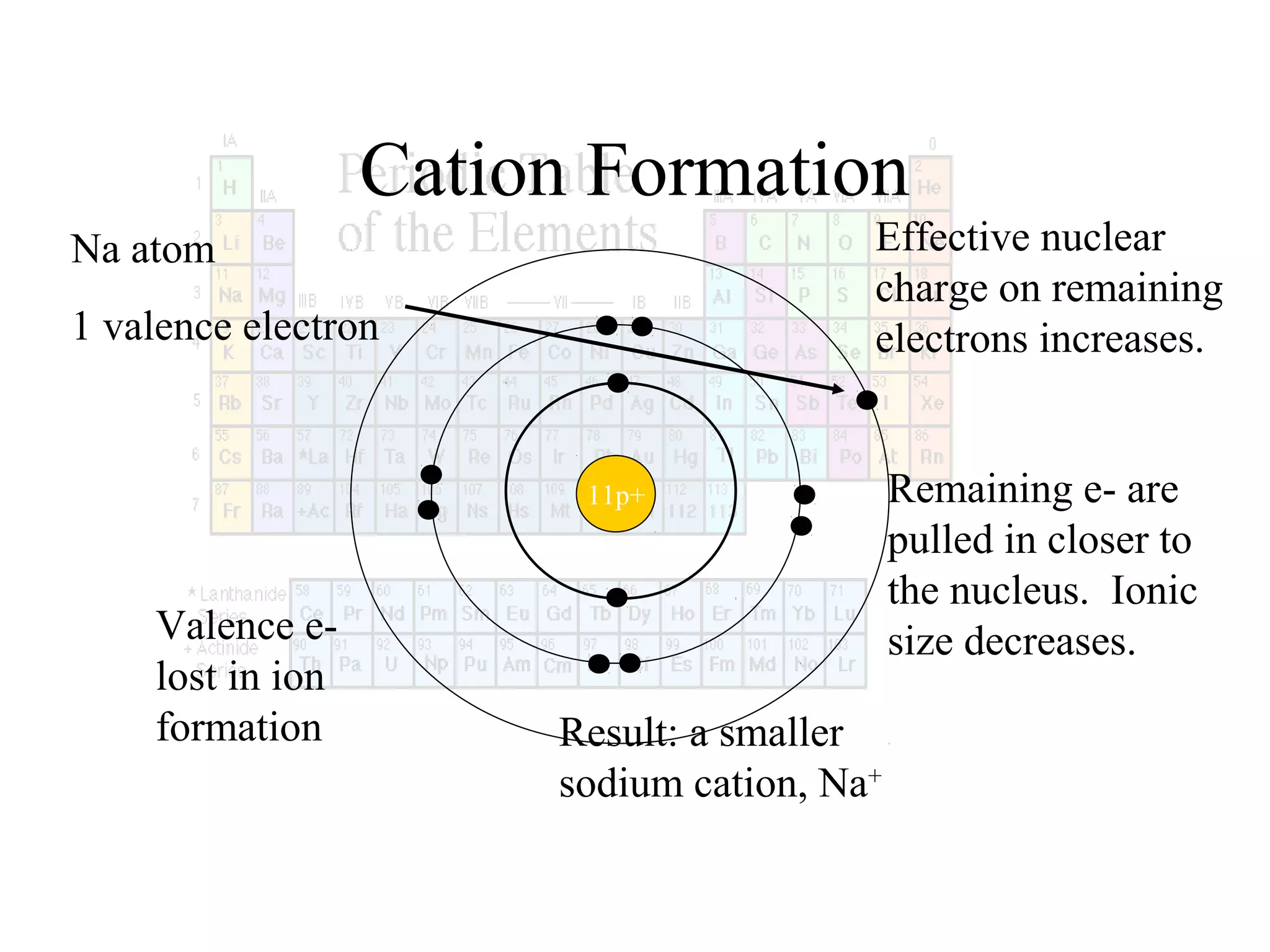 Cation Formation
Effective nuclear
charge on remaining
electrons increases.

Na atom
1 valence electron

11p+

Valence elost in ion
formation

Result: a smaller
sodium cation, Na+

Remaining e- are
pulled in closer to
the nucleus. Ionic
size decreases.

 