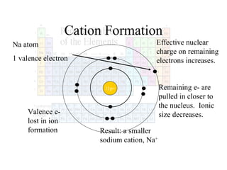 Cation Formation
Effective nuclear
charge on remaining
electrons increases.

Na atom
1 valence electron

11p+

Valence elost in ion
formation

Result: a smaller
sodium cation, Na+

Remaining e- are
pulled in closer to
the nucleus. Ionic
size decreases.

 