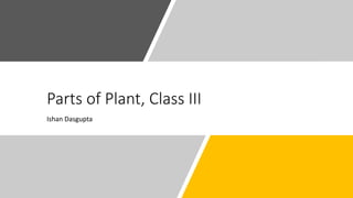 Parts of Plant, Class III
Ishan Dasgupta
 