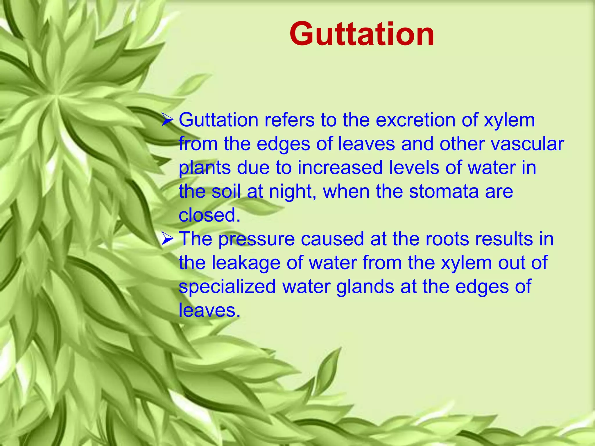 Guttation
 Guttation refers to the excretion of xylem
from the edges of leaves and other vascular
plants due to increased levels of water in
the soil at night, when the stomata are
closed.
 The pressure caused at the roots results in
the leakage of water from the xylem out of
specialized water glands at the edges of
leaves.
 