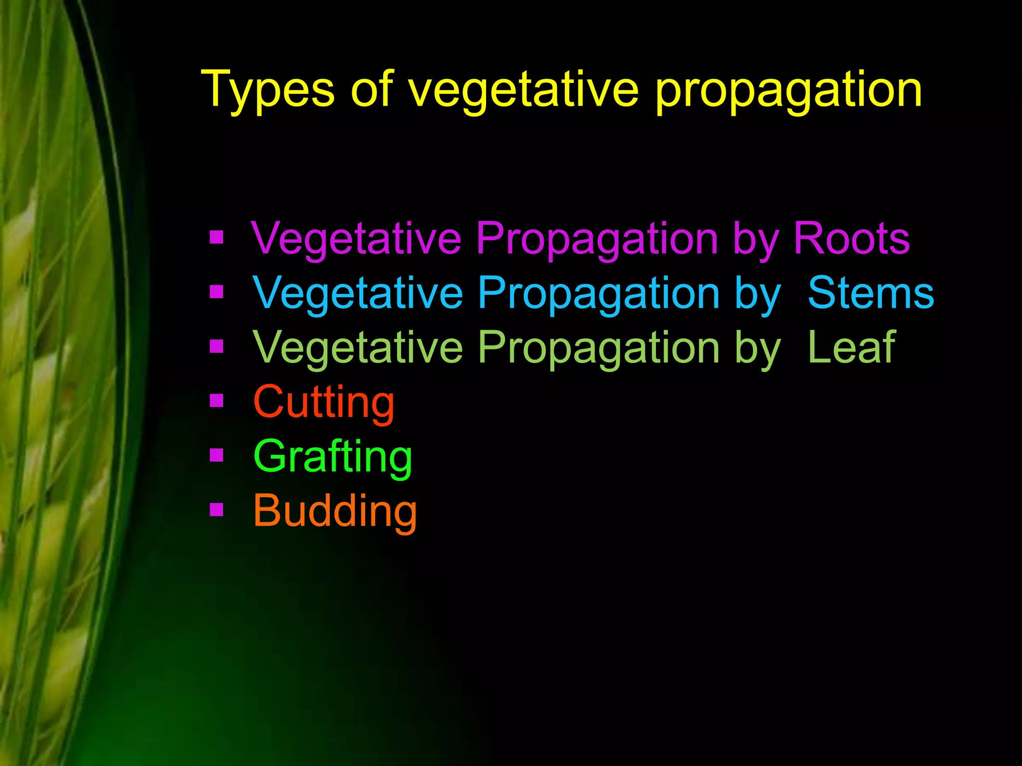 Types of vegetative propagation
 Vegetative Propagation by Roots
 Vegetative Propagation by Stems
 Vegetative Propagation by Leaf
 Cutting
 Grafting
 Budding
 