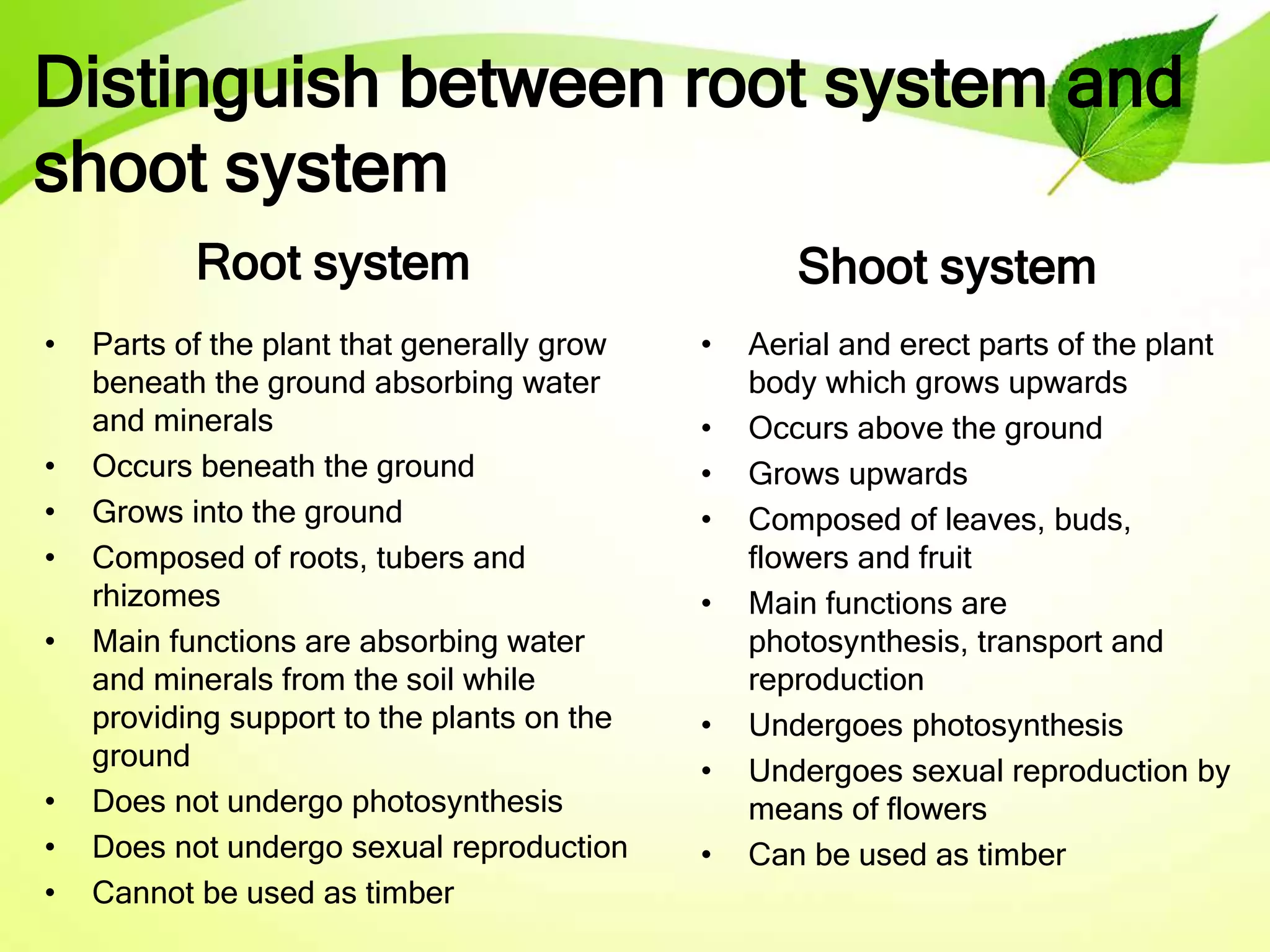 Distinguish between root system and
shoot system
Root system
• Parts of the plant that generally grow
beneath the ground absorbing water
and minerals
• Occurs beneath the ground
• Grows into the ground
• Composed of roots, tubers and
rhizomes
• Main functions are absorbing water
and minerals from the soil while
providing support to the plants on the
ground
• Does not undergo photosynthesis
• Does not undergo sexual reproduction
• Cannot be used as timber
Shoot system
• Aerial and erect parts of the plant
body which grows upwards
• Occurs above the ground
• Grows upwards
• Composed of leaves, buds,
flowers and fruit
• Main functions are
photosynthesis, transport and
reproduction
• Undergoes photosynthesis
• Undergoes sexual reproduction by
means of flowers
• Can be used as timber
 